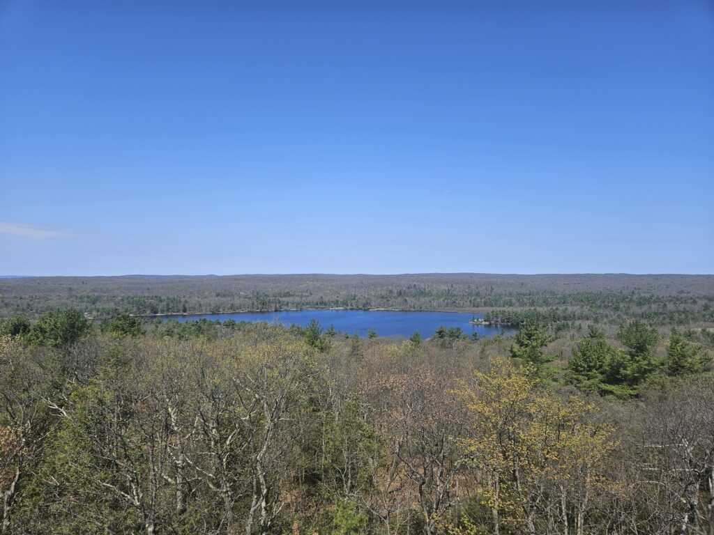 The view from the Bearfort Fire Tower