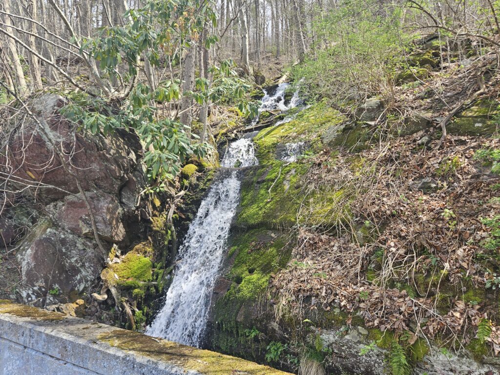 Big Tocks Creek Falls 3