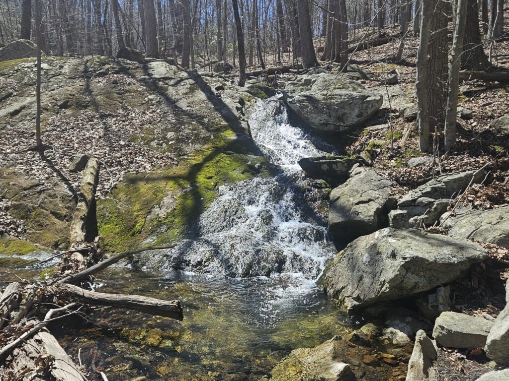 Blue Mine Brook Falls in Norvin Green State Forest