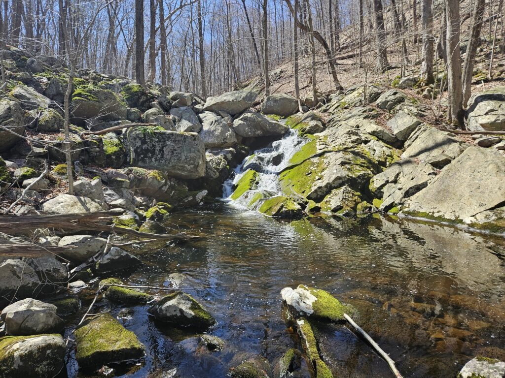 Camp Wyanokie Falls in Norvin Green State Forest