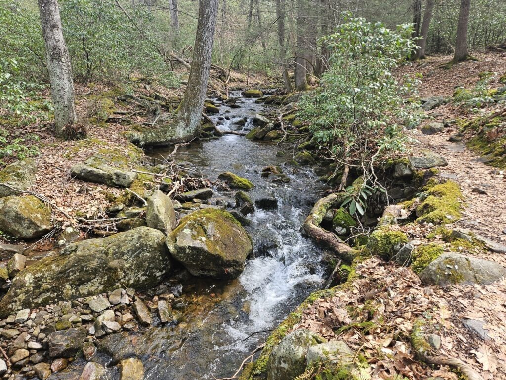 Dunnfield Creek at Worthington State Forest