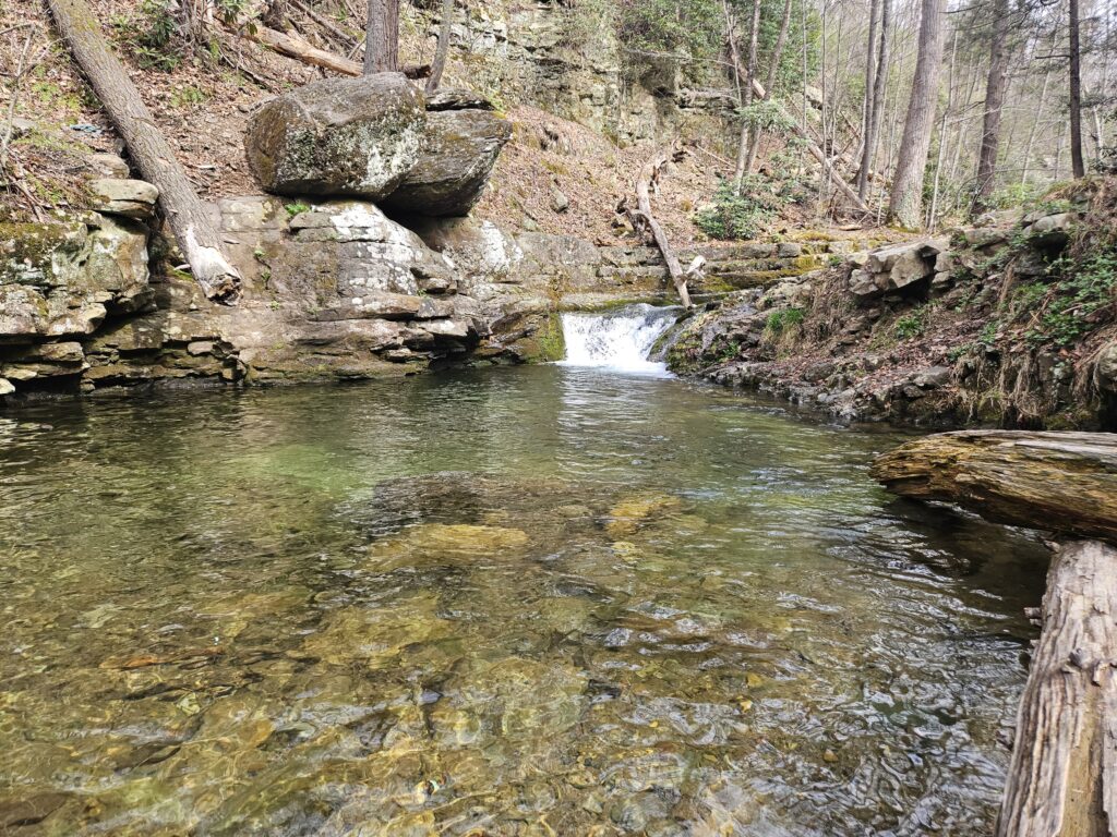 Hiking Dunnfield Creek to Sunfish Pond 8