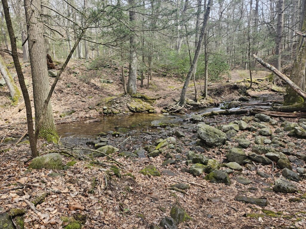 An image of the Dunnfield Creek Trail at Worthington State Forest crossing the creek