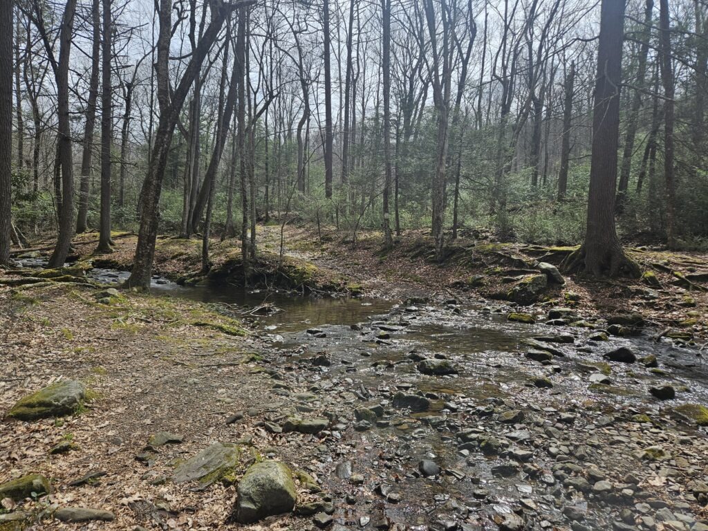 Dunnfield Creek Trail crossing the water