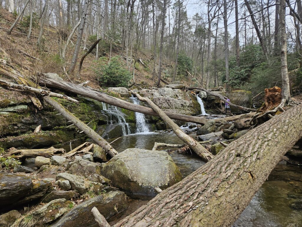 Dunnfield Falls 1