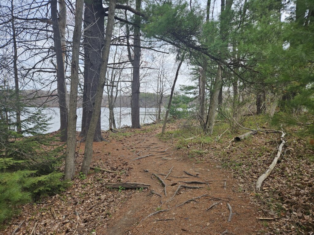 The Shoreline Loop at Franklin Lakes Nature Preserve