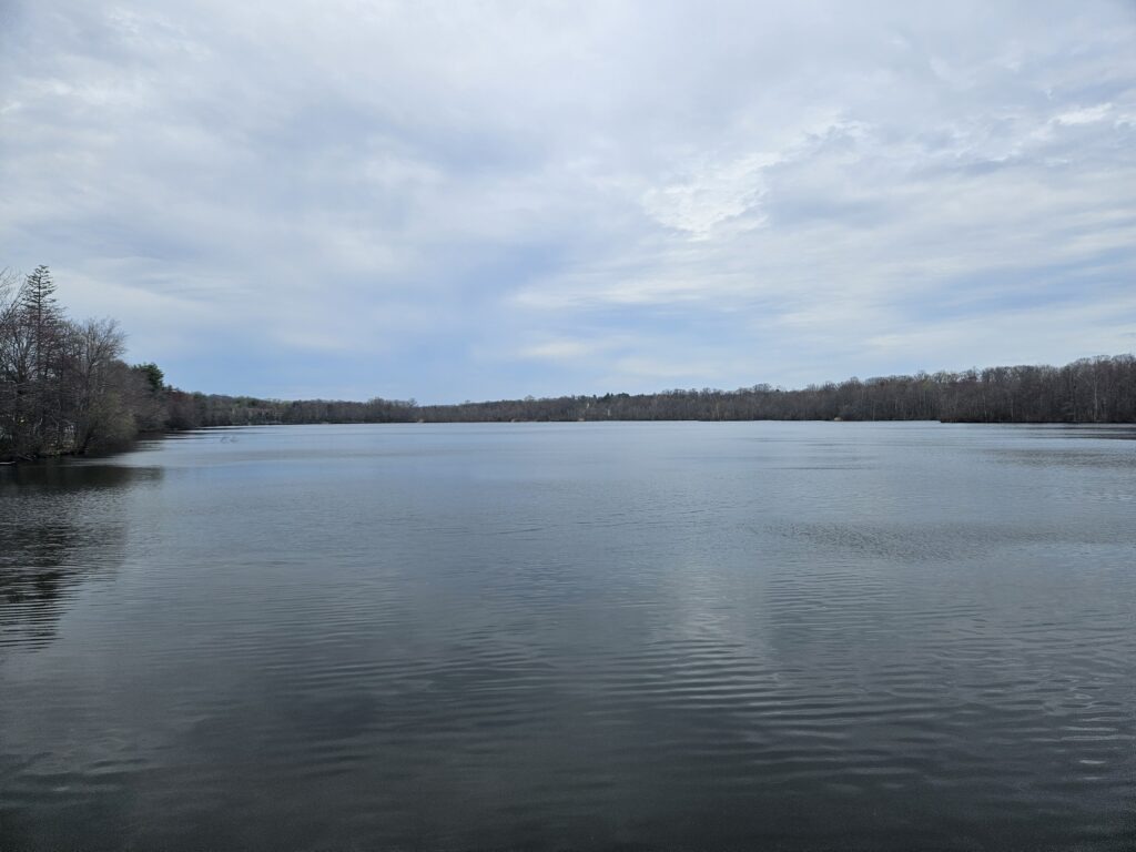 The view from the dam at G. Thomas Donch Nature Preserve