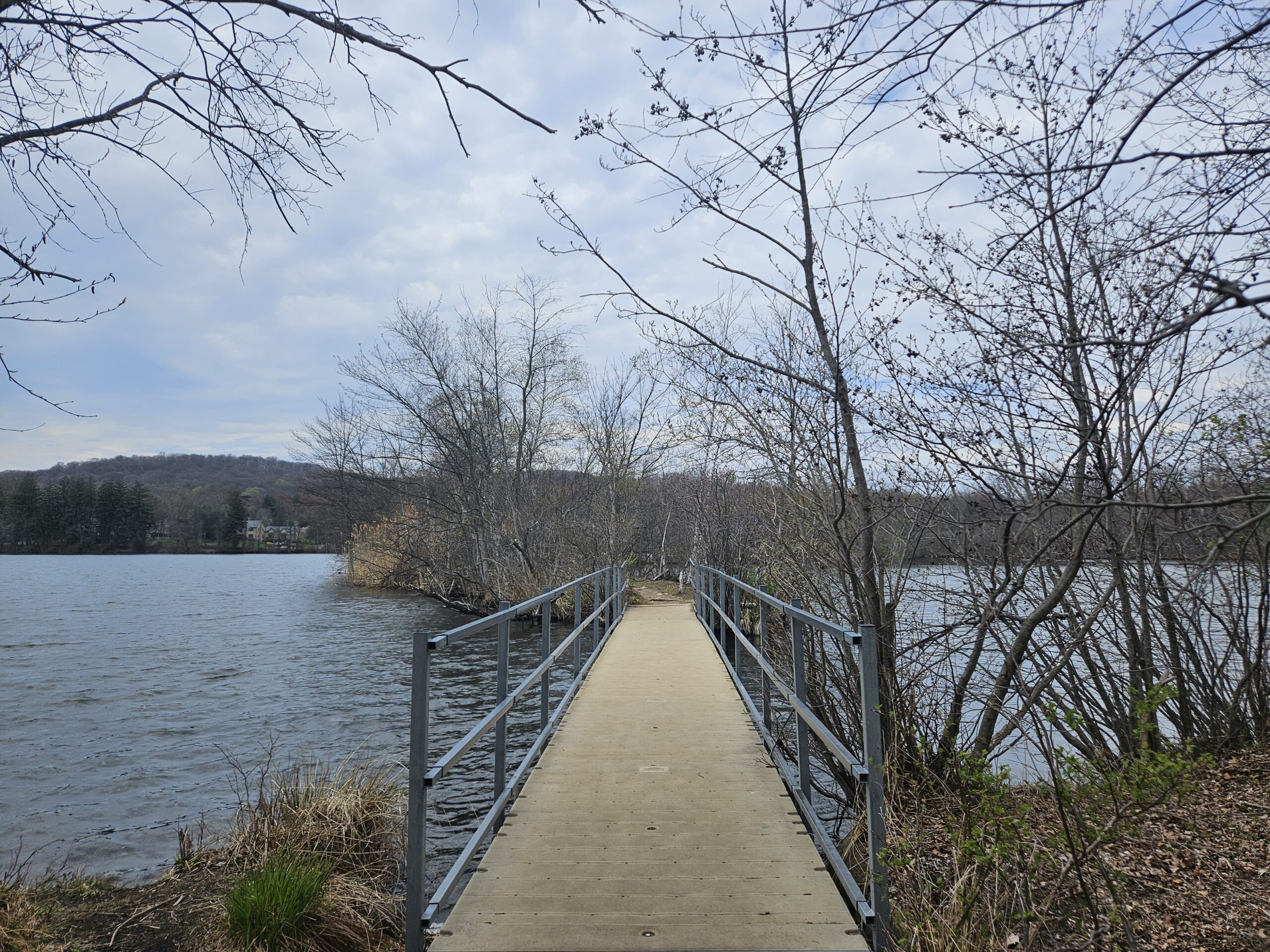 The Island Bridge Trail at G. Thomas Donch Nature Preserve