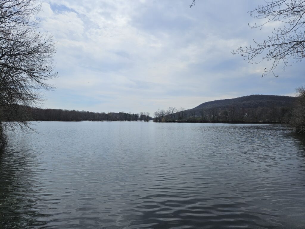 The Lagoon at G. Thomas Donch Nature Preserve