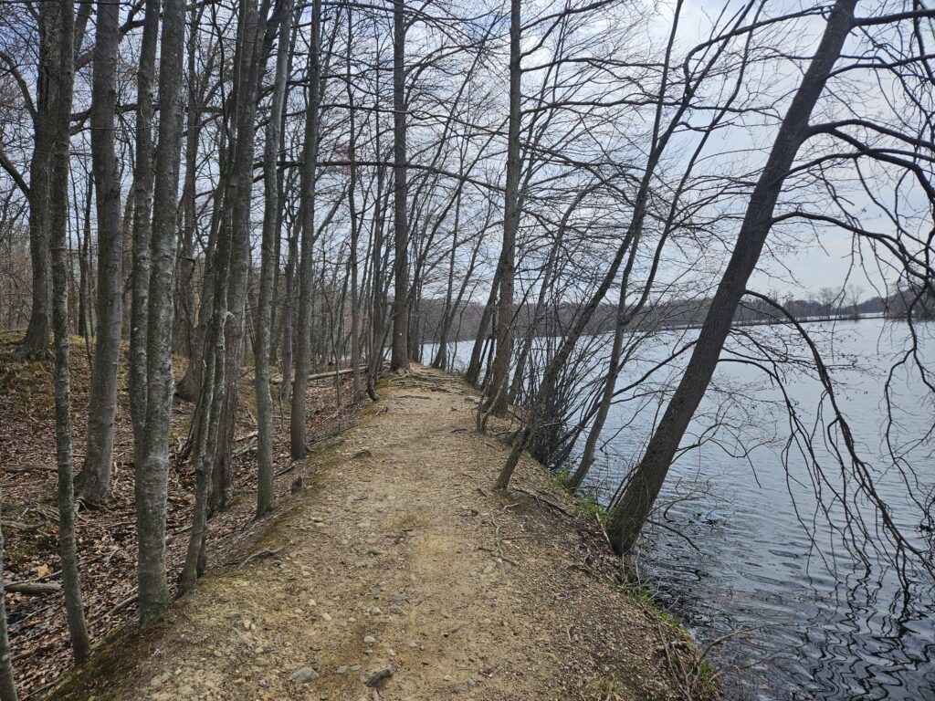 The Shoreline Loop at G. Thomas Donch Nature Preserve