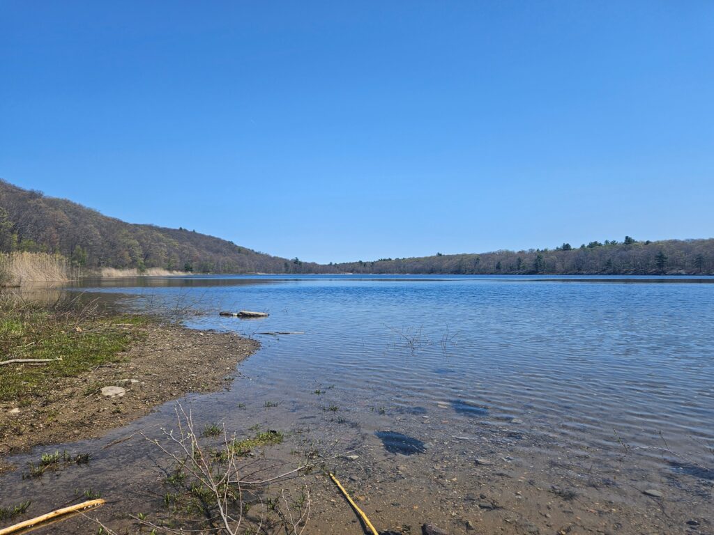 Hanks Pond next to Clinton Road