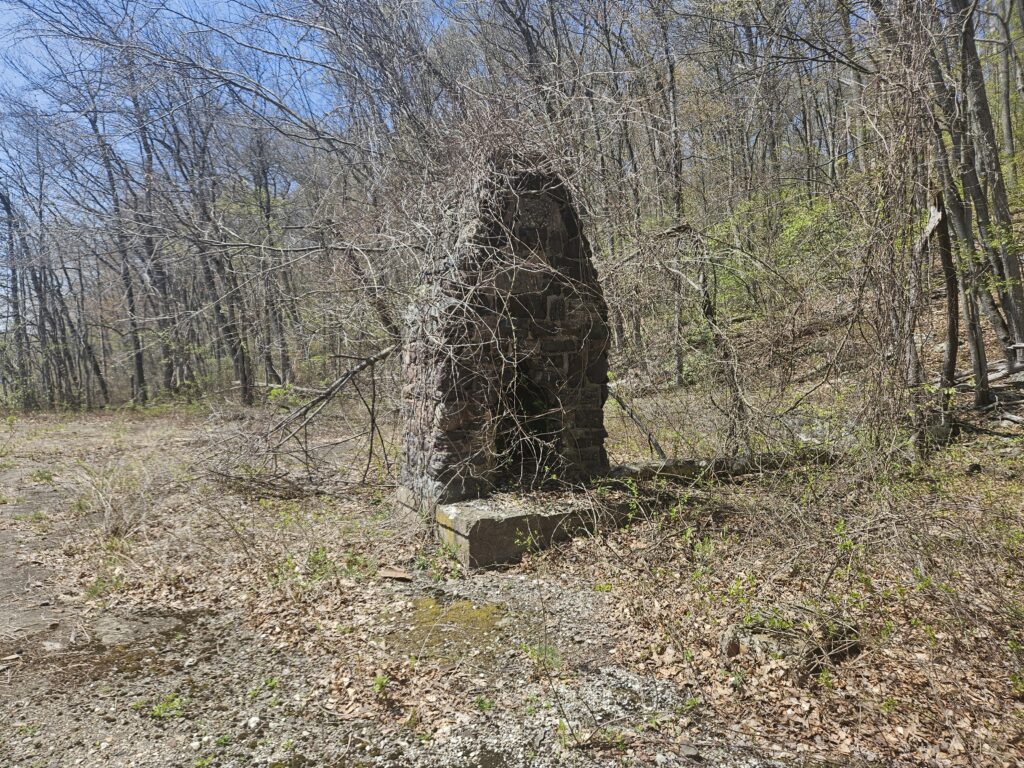 Ruins of a fireplace next to Hanks Pond and Clinton Road