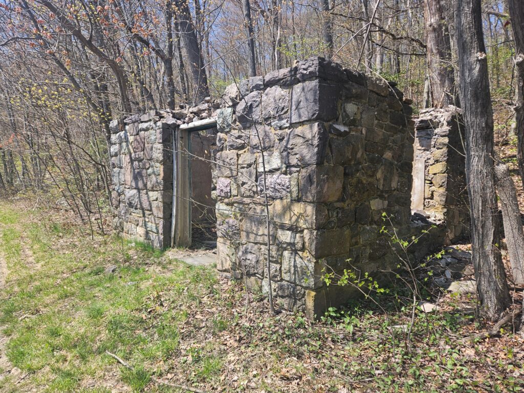 Ruins next to Hanks Pond and Clinton Road