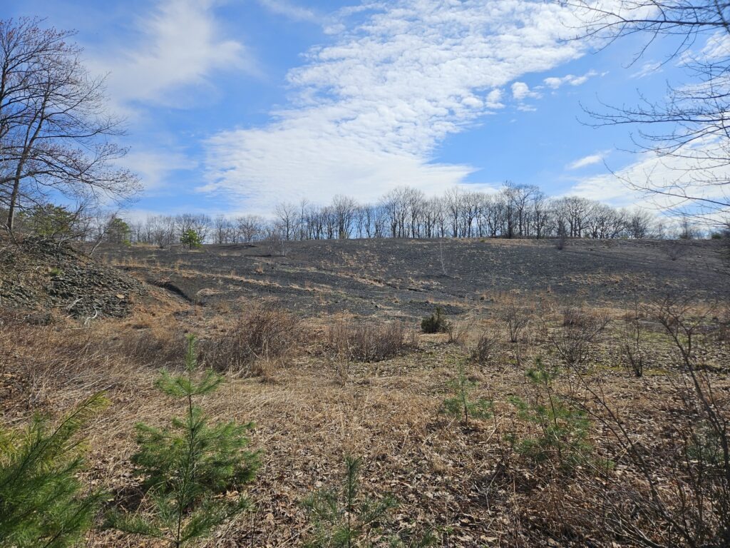 An image of an excavation pit