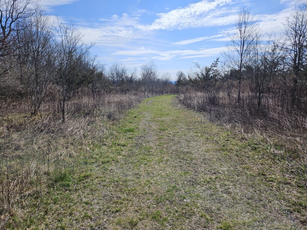 An image of an obvious mowed trail