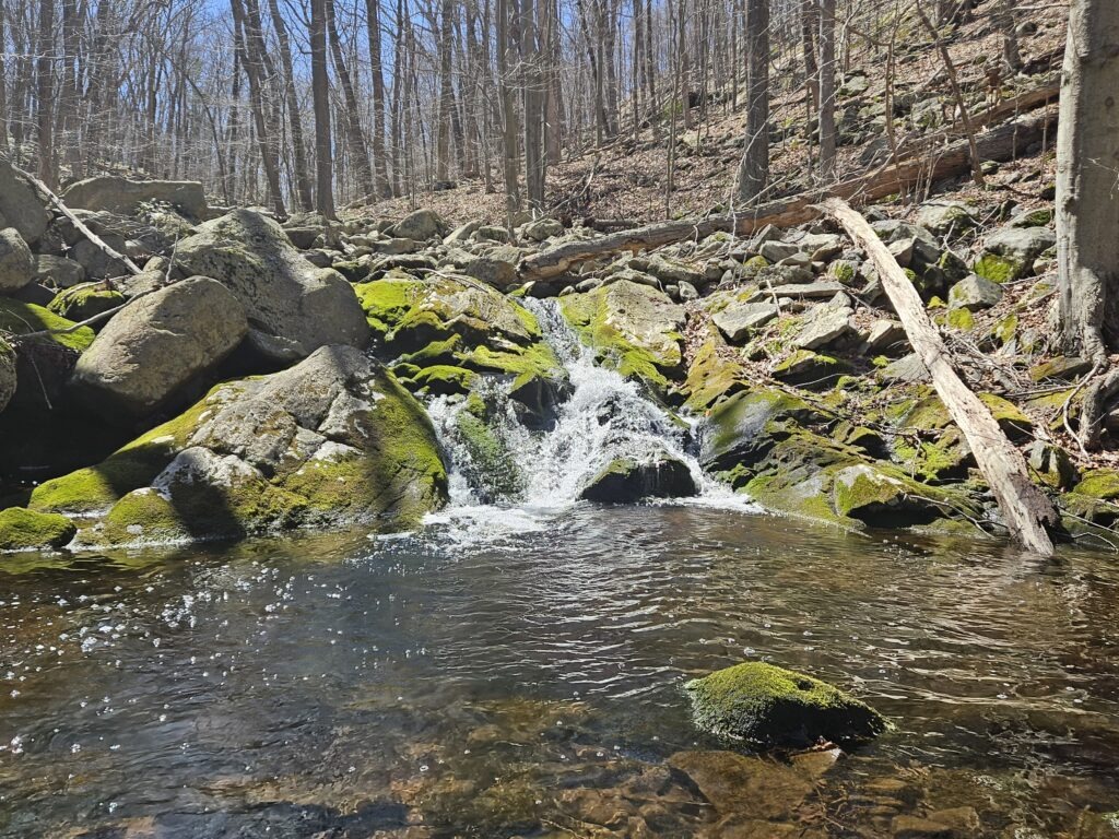 Lower Camp Wyanokie Falls in Norvin Green State Forest