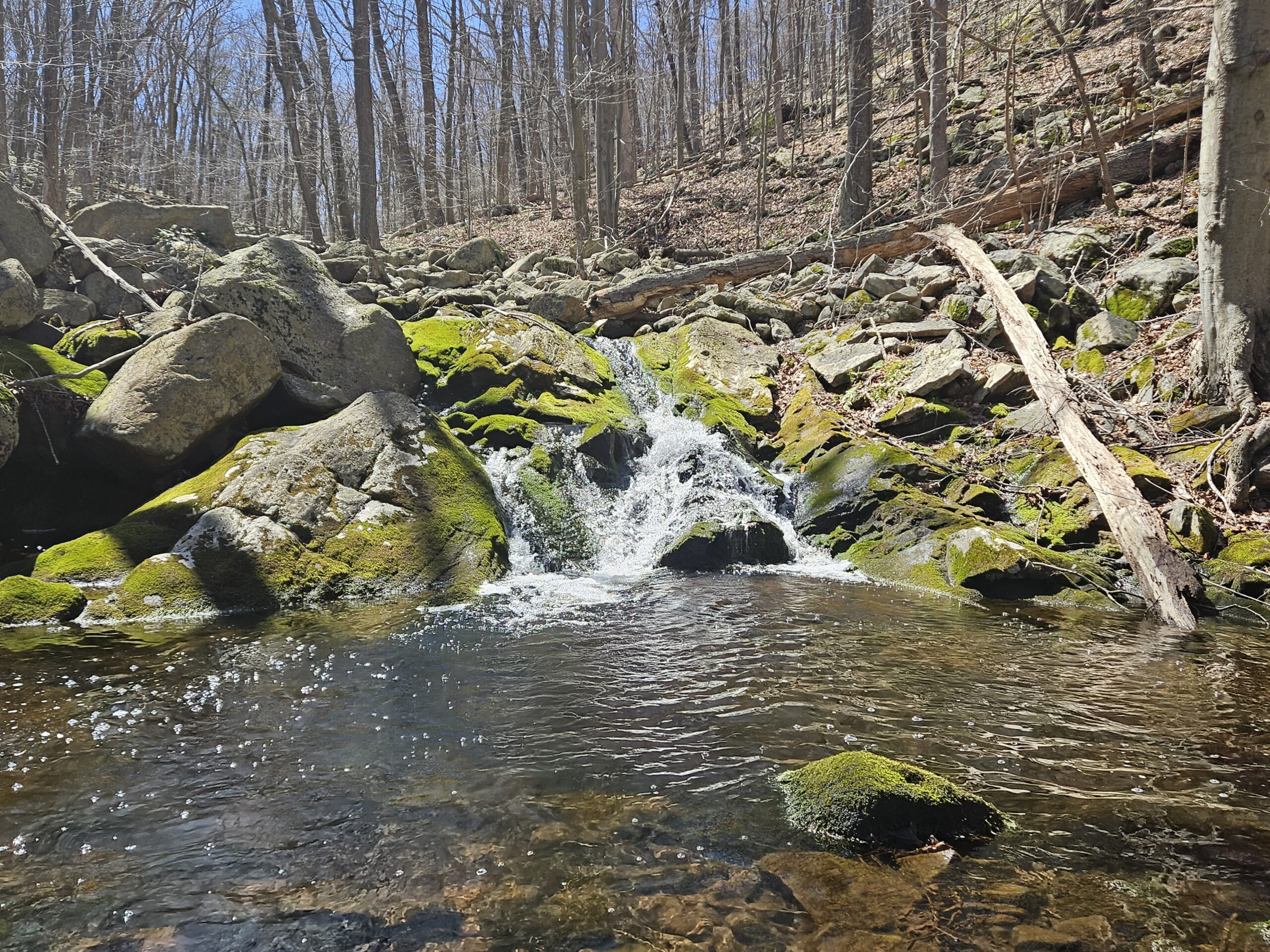 Lower Camp Wyanokie Falls in Norvin Green State Forest