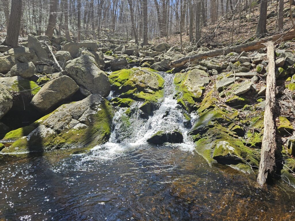 Lower Camp Wyanokie Falls in Norvin Green State Forest