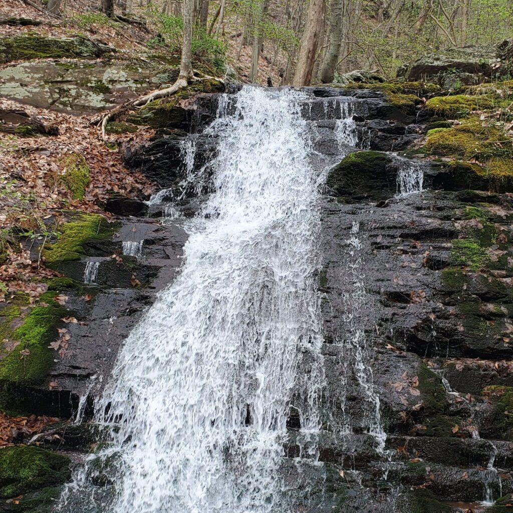 Lower Laurel Falls 4