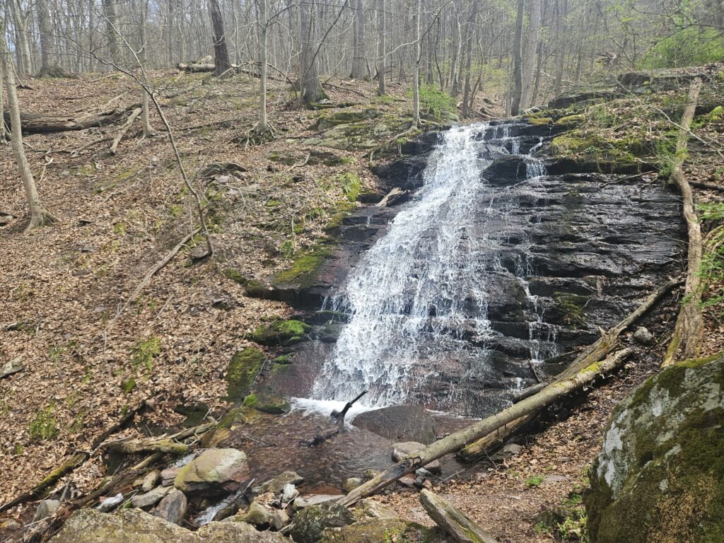 Lower Laurel Falls at Worthington State Forest
