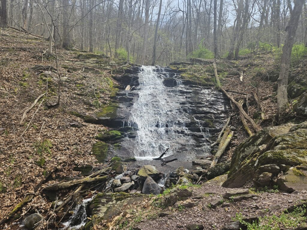 Lower Laurel Falls in Worthington State Forest