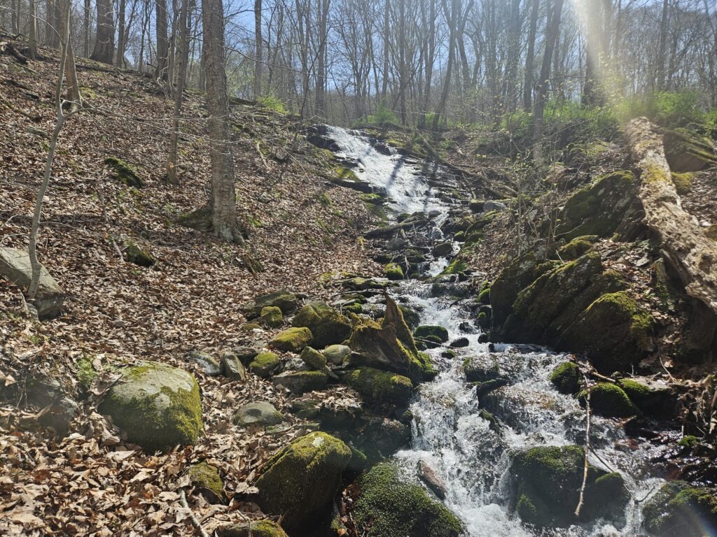 Lower Laurel Falls at Worthington State Forest