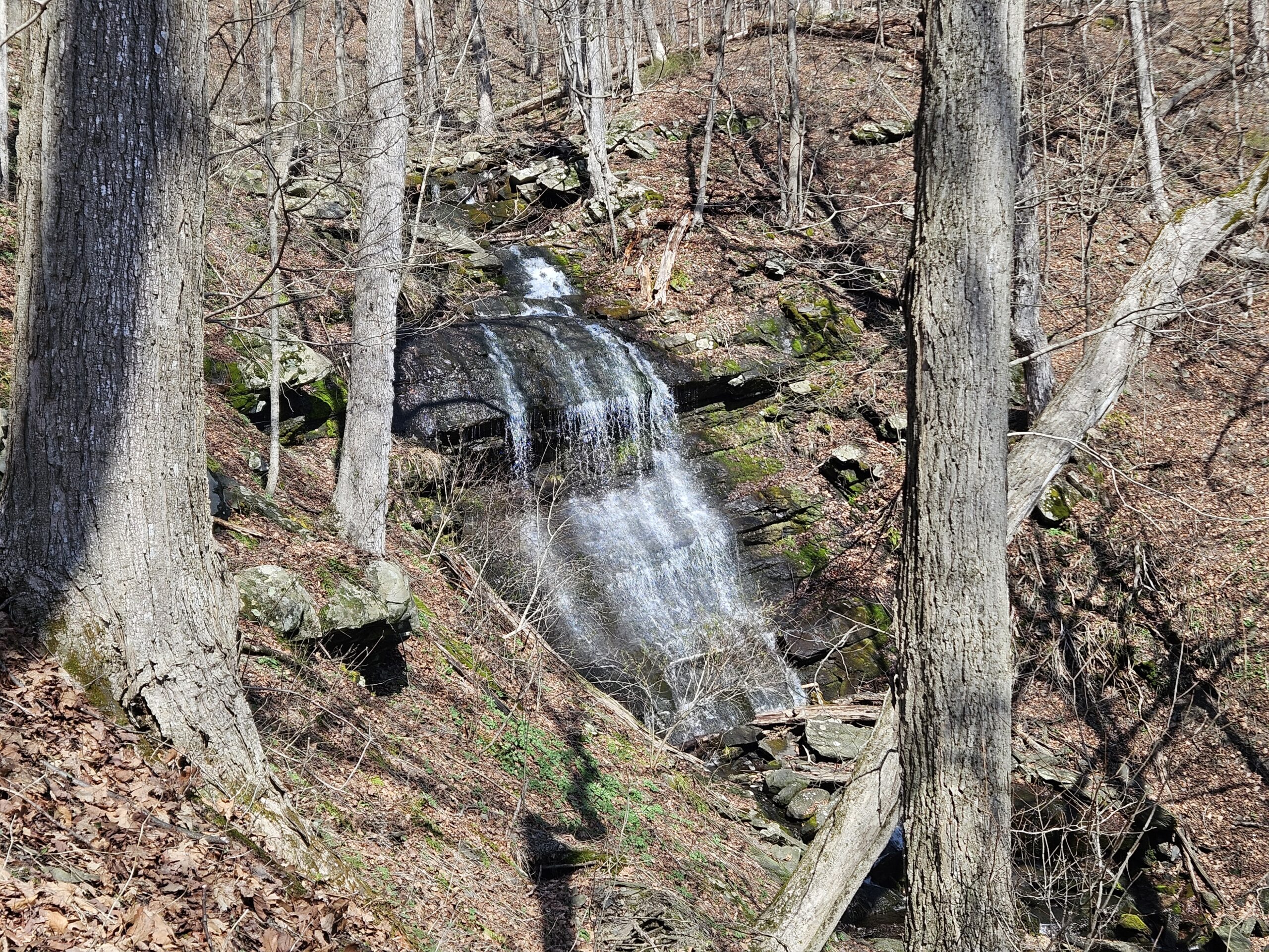An image of a waterfall
