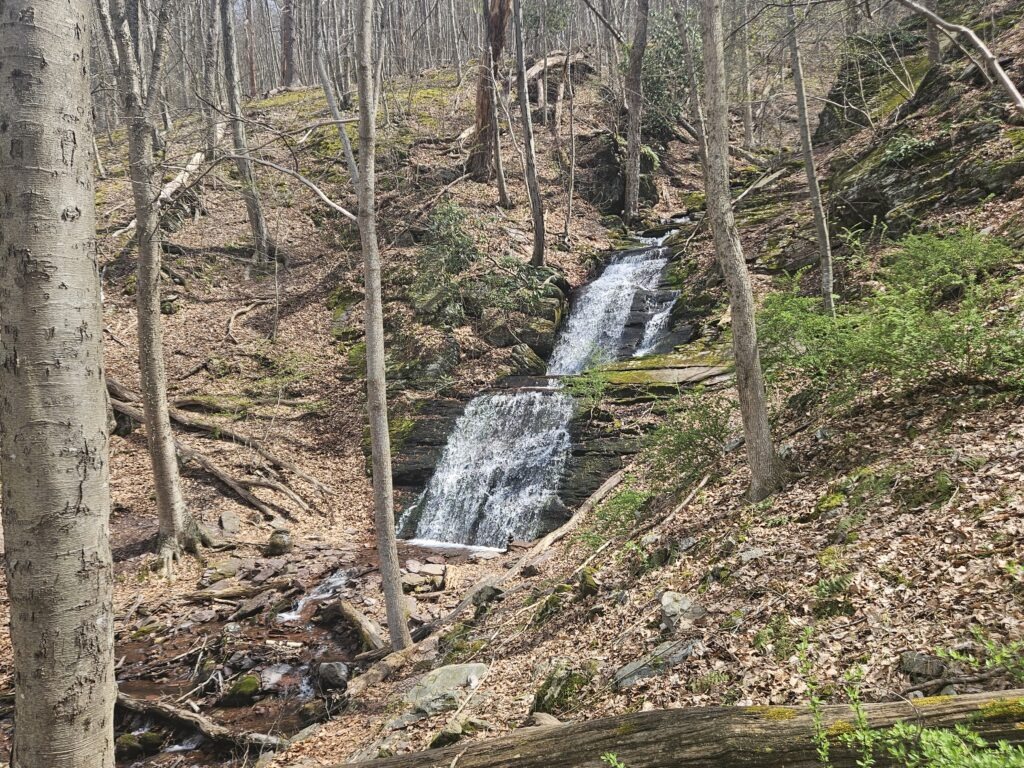 Middle Laurel Falls at Worthington State Forest