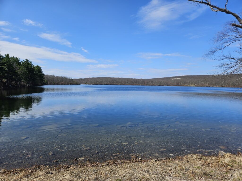 An image of Rutherford Lake