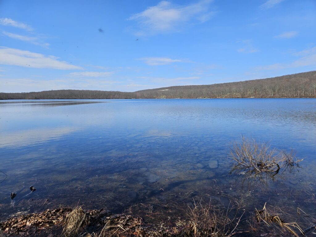 An image of Rutherford Lake