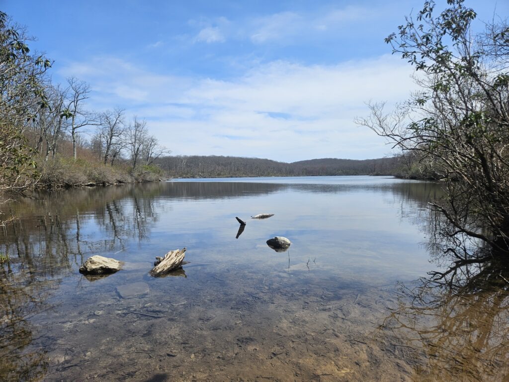 Sunfish Pond at Worthington State Forest