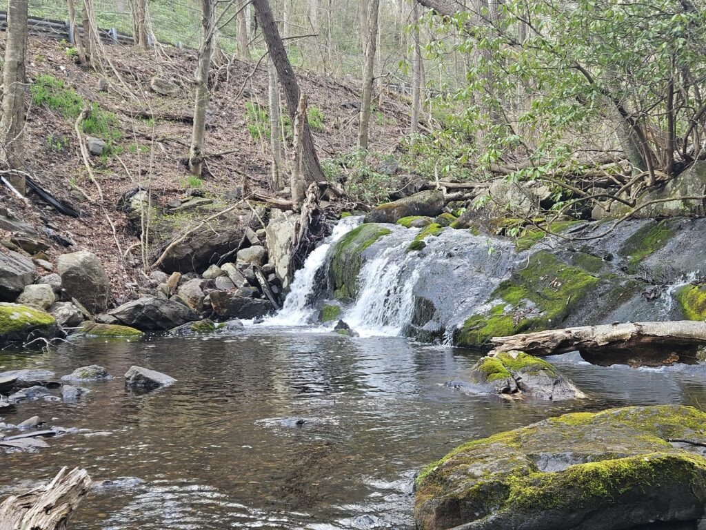 A waterfall at Abram S. Hewitt State Forest