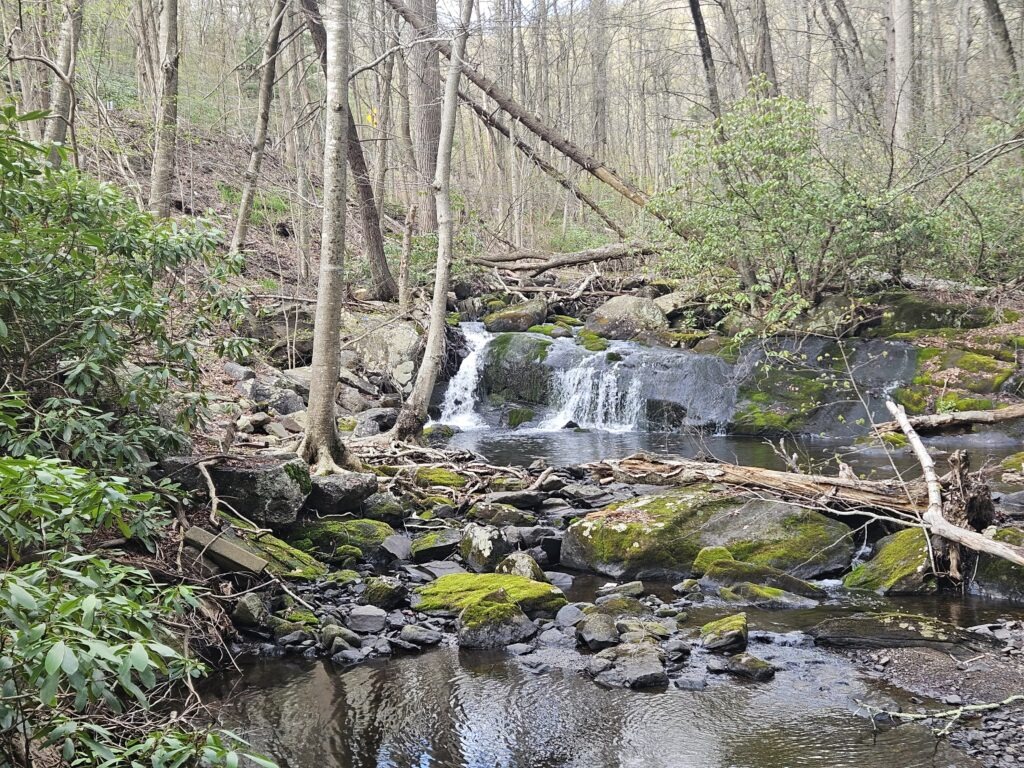 A waterfall at Abram S. Hewitt State Forest