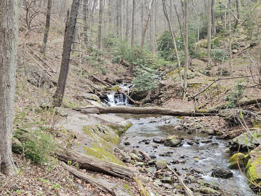 Unnamed Waterfall on Dunnfield Creek 1 1