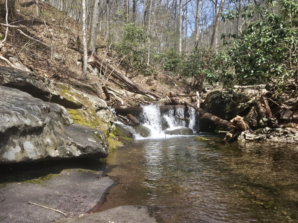 Unnamed Waterfall on Dunnfield Creek 1 3