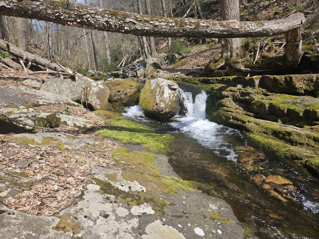 Unnamed Waterfall on Dunnfield Creek 2 3
