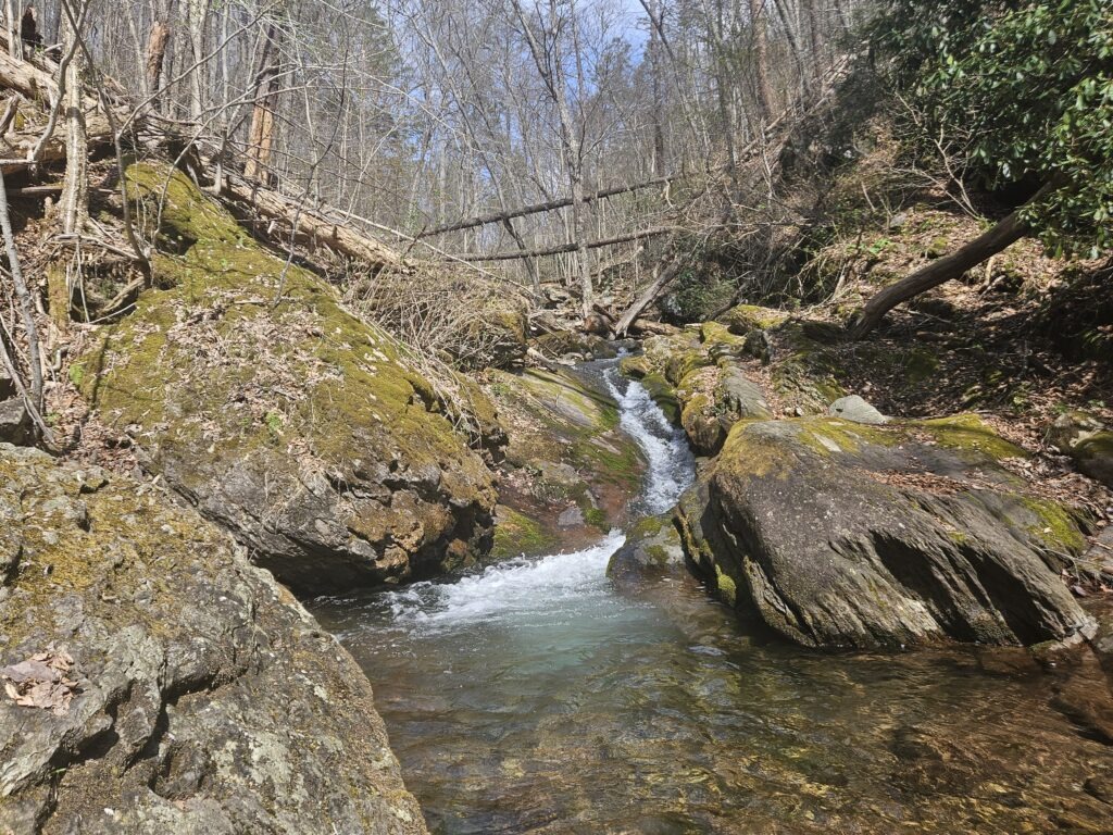 Unnamed Waterfall on Dunnfield Creek 3 1