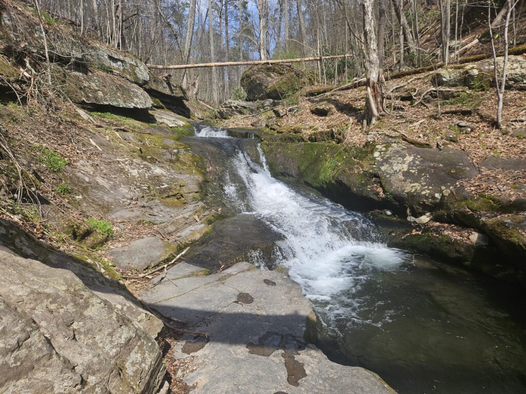 A waterfall in Dunnfield Creek