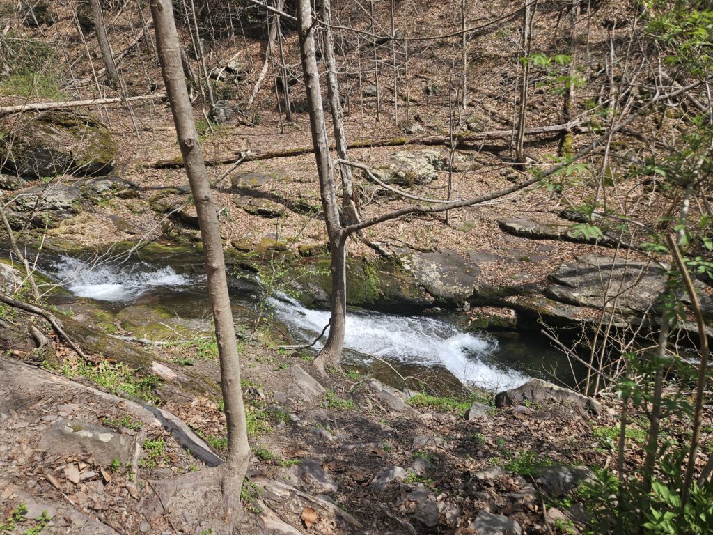 Unnamed Waterfall on Dunnfield Creek 4 3