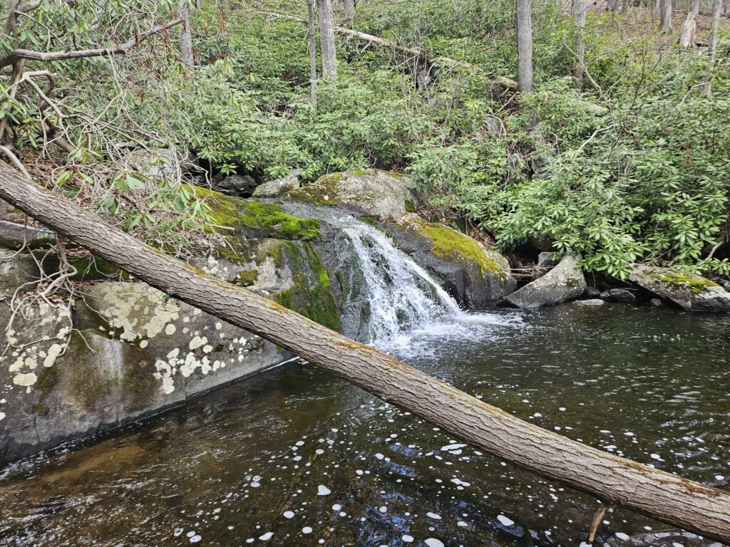 Unnamed Waterfall at Abram S. Hewitt State Forest 2 2 Unnamed Waterfall at Abram S. Hewitt State Forest 2 1