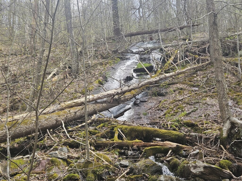 Upper Laurel Falls at Worthington State Forest