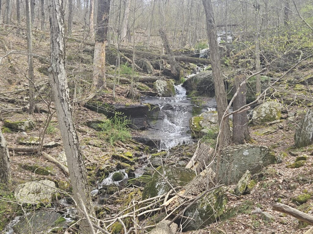Upper Laurel Falls at Worthington State Forest
