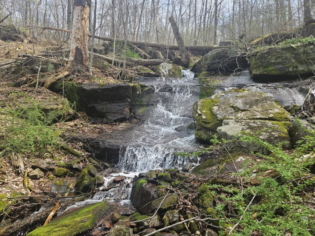 Upper Laurel Falls at Worthington State Forest