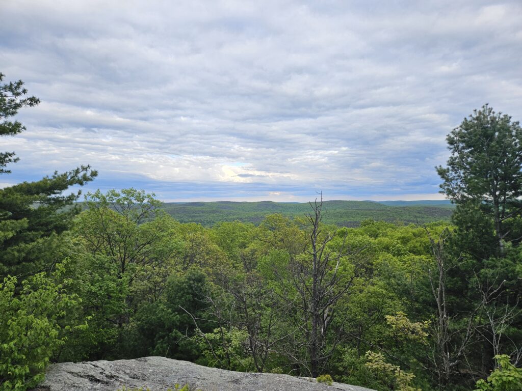 A overlook at Abram S. Hewitt State Forest