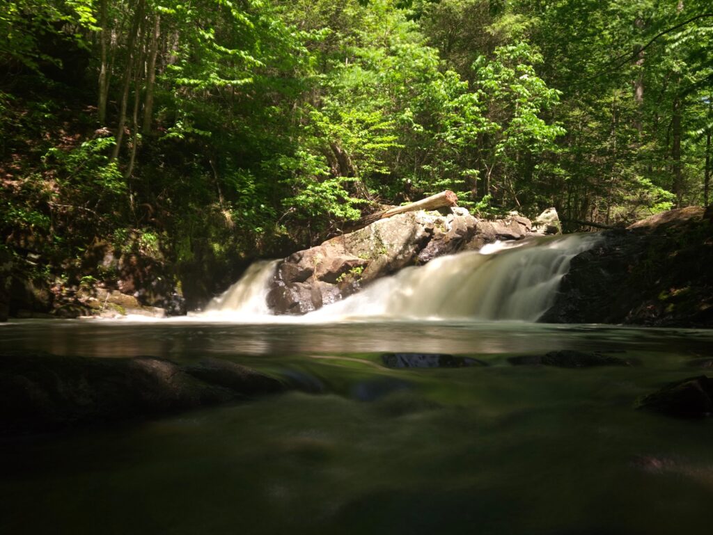 Black River Falls 1