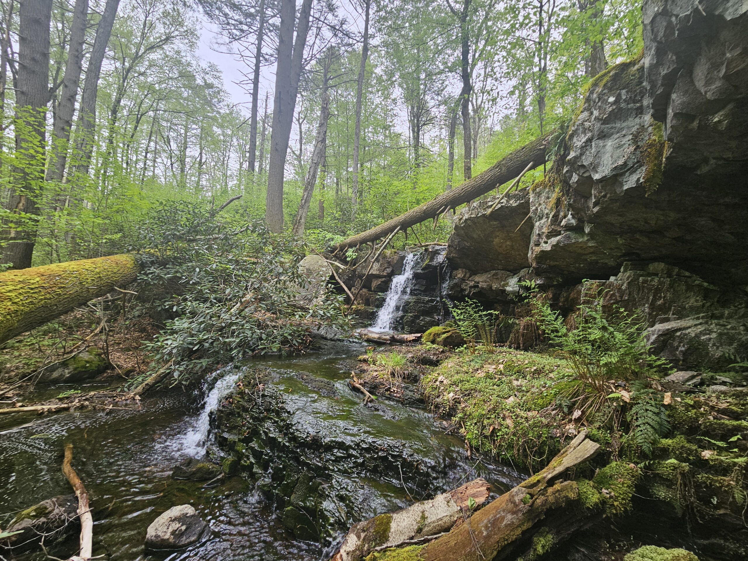 A small waterfall near Coppermine Falls in the Delaware Water Gap