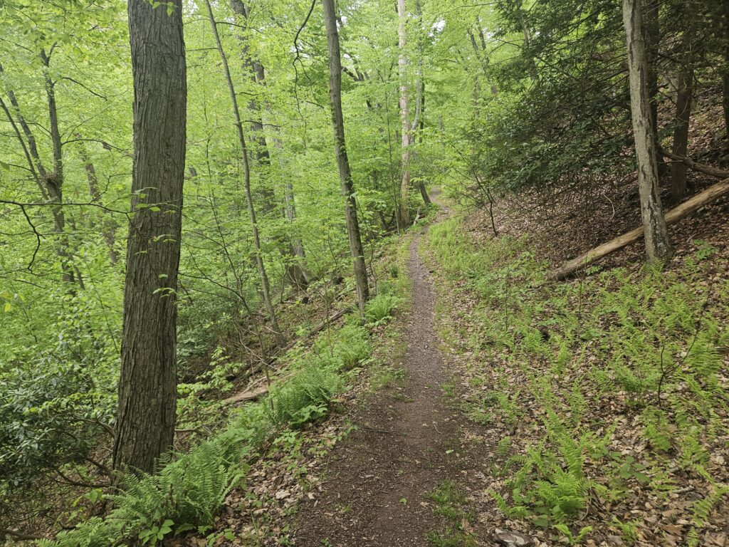 Hiking the Coppermine Trail: Waterfalls and Mines 10