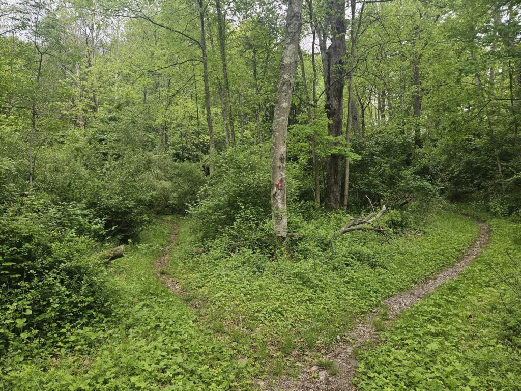 Hiking the Coppermine Trail: Waterfalls and Mines 3