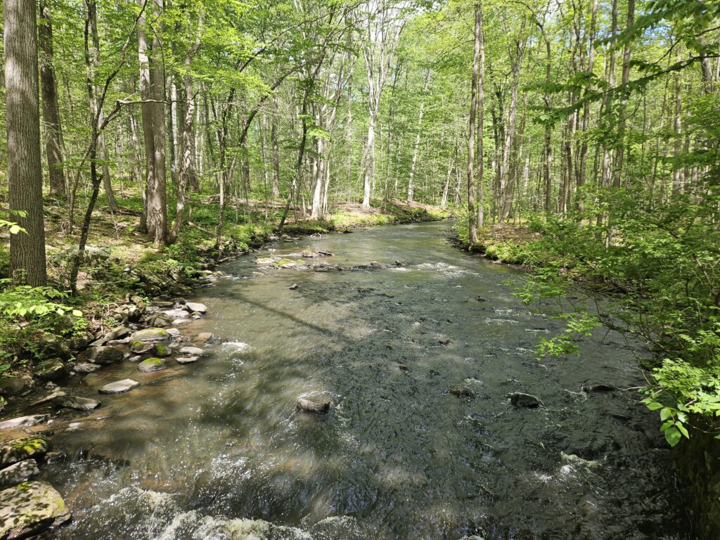 The Black River at the Kay Center