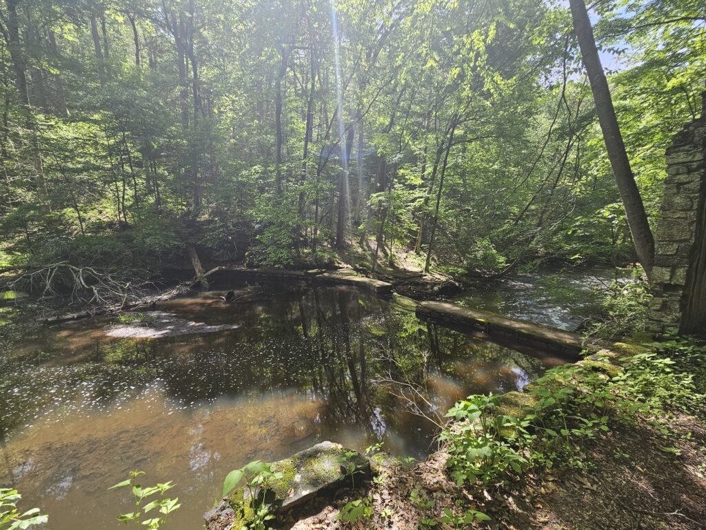 Hiking the Elizabeth D. Kay Environmental Center to Waterfalls and Ruins 9
